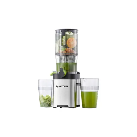 AMZCHEF CE-ZM1902B-SV Slow Juicer